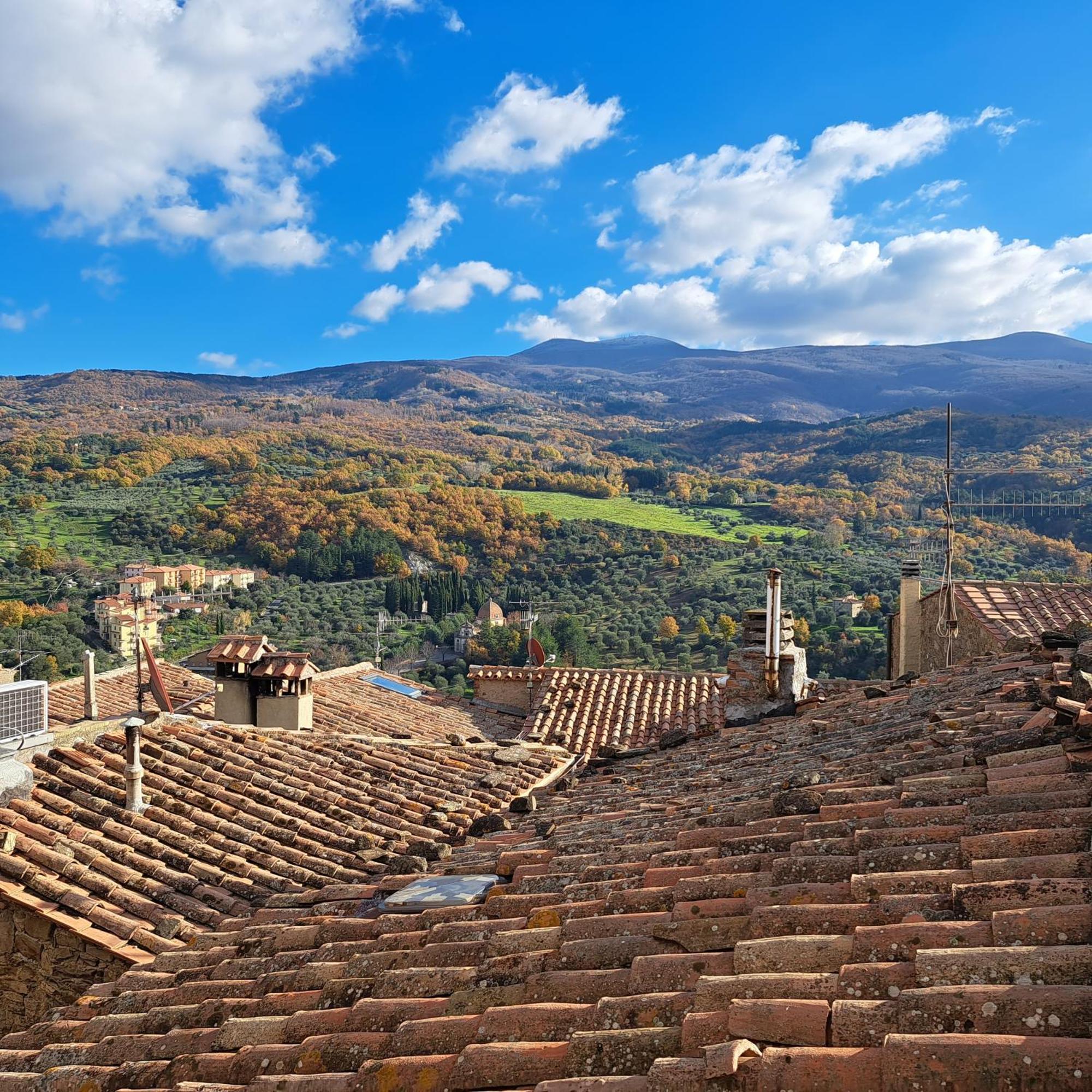 Antica Abitazione Con Vista Montagna Casa Norma Διαμέρισμα Seggiano Εξωτερικό φωτογραφία