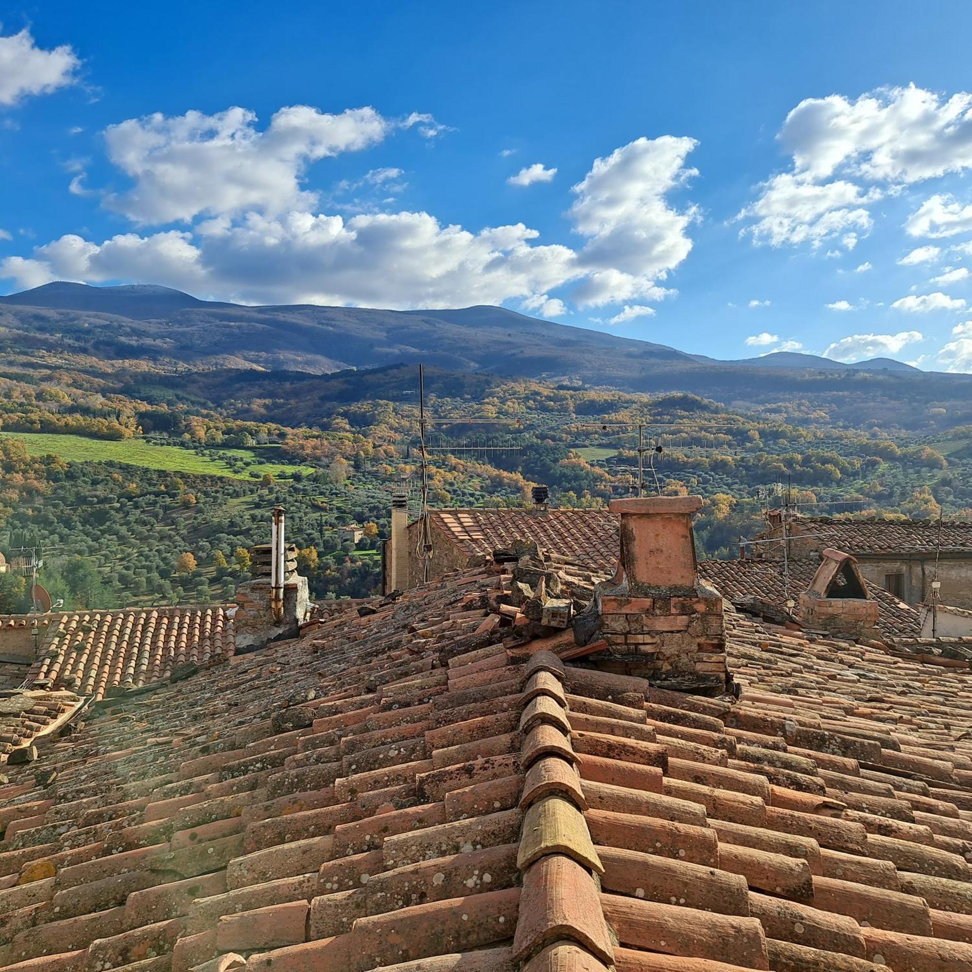 Antica Abitazione Con Vista Montagna Casa Norma Διαμέρισμα Seggiano Εξωτερικό φωτογραφία